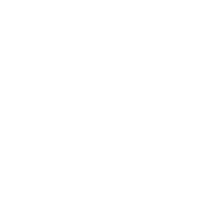 Animal icon