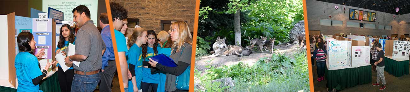 Collage of Chicago Zoological Society photos